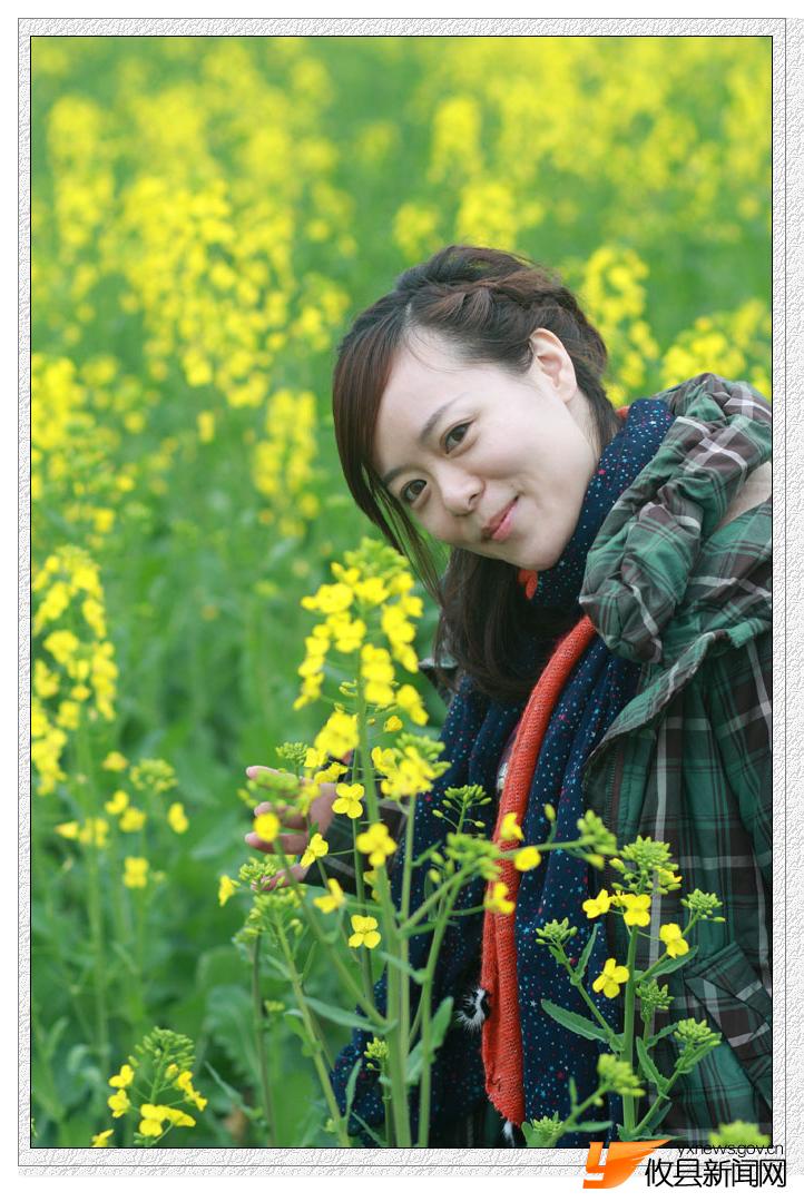 油菜花的视界