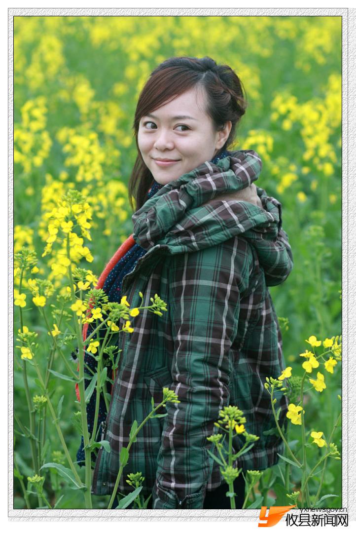 油菜花的视界