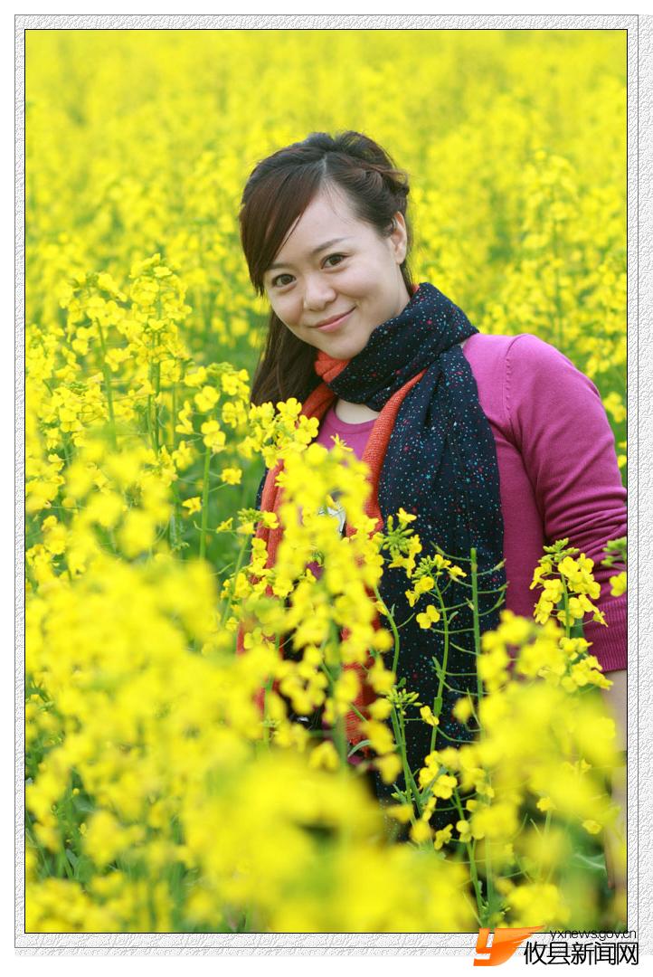 油菜花的视界