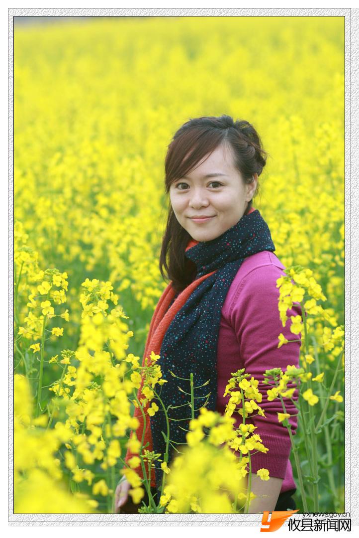 油菜花的视界
