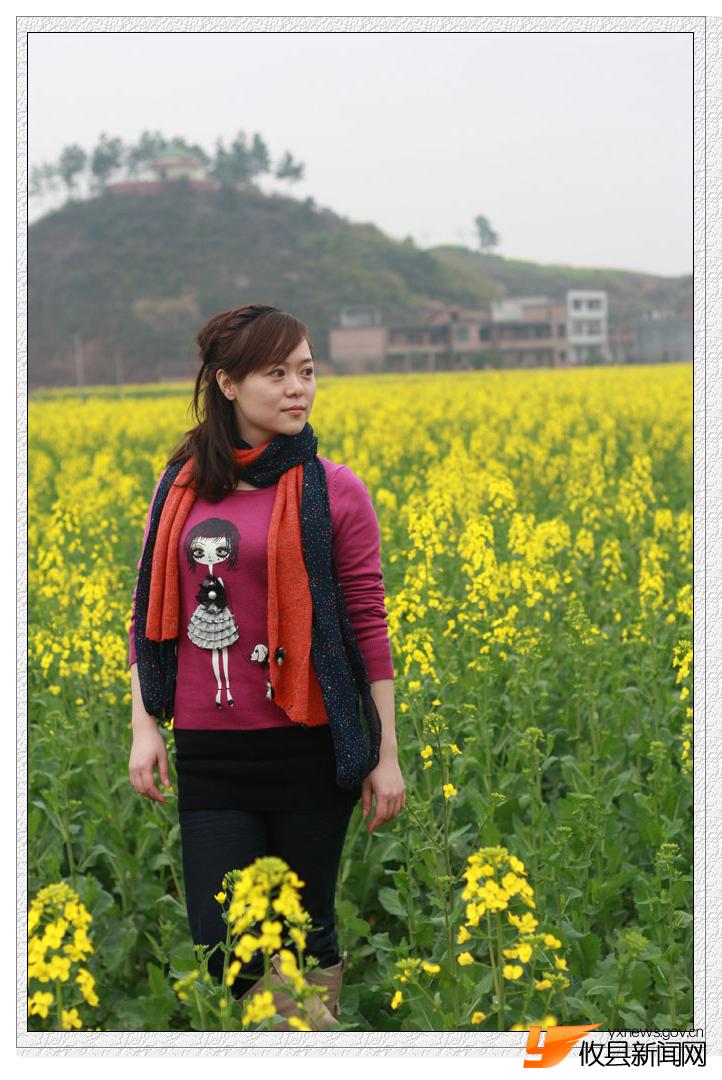 油菜花的视界