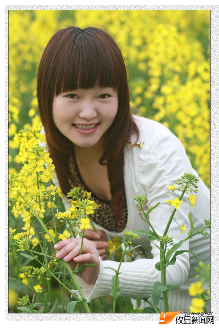 油菜花的视界