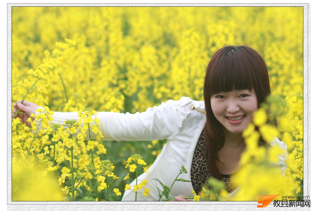 油菜花的视界