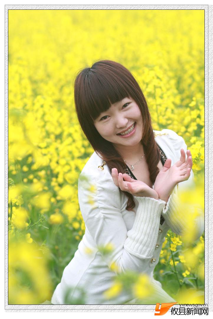油菜花的视界