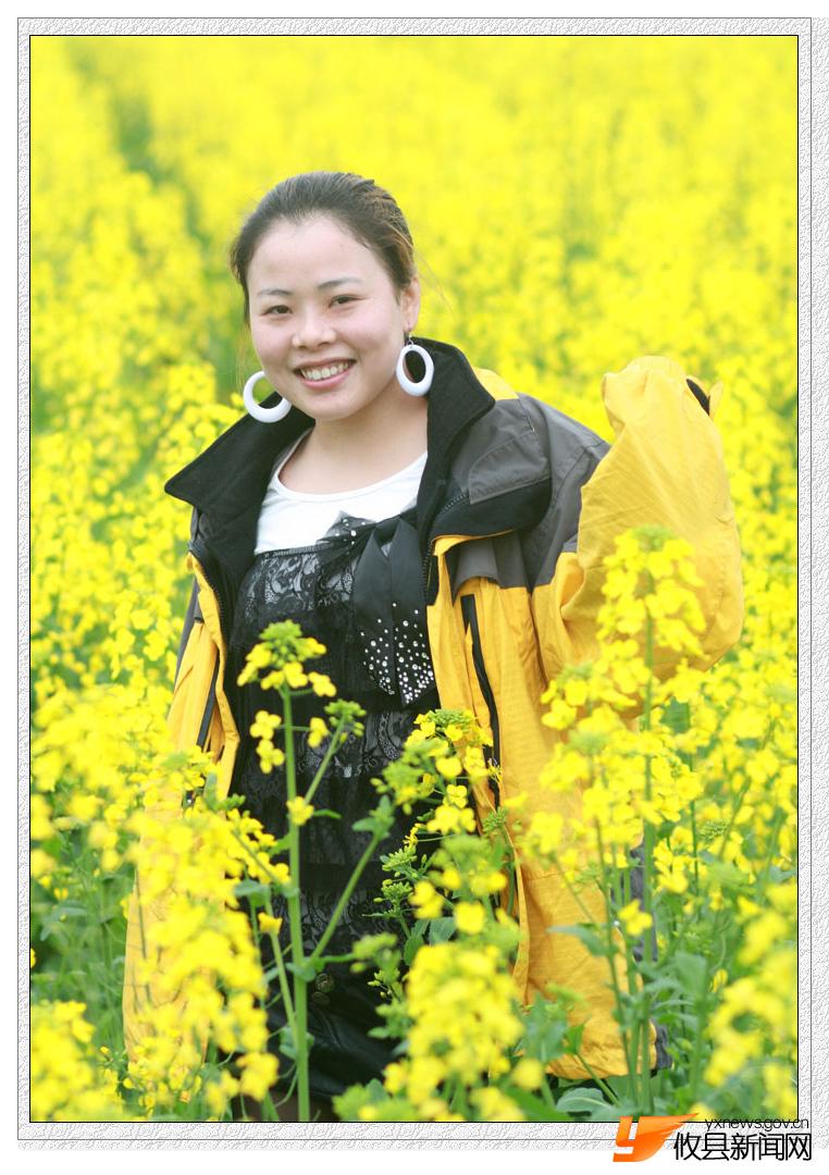油菜花的视界