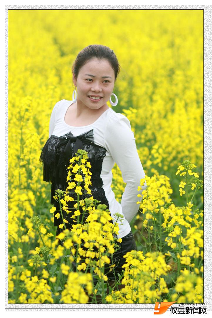油菜花的视界
