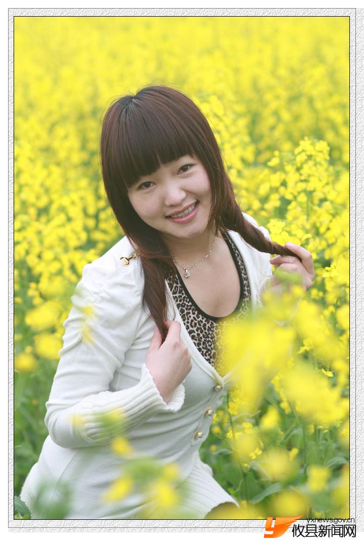 油菜花的视界