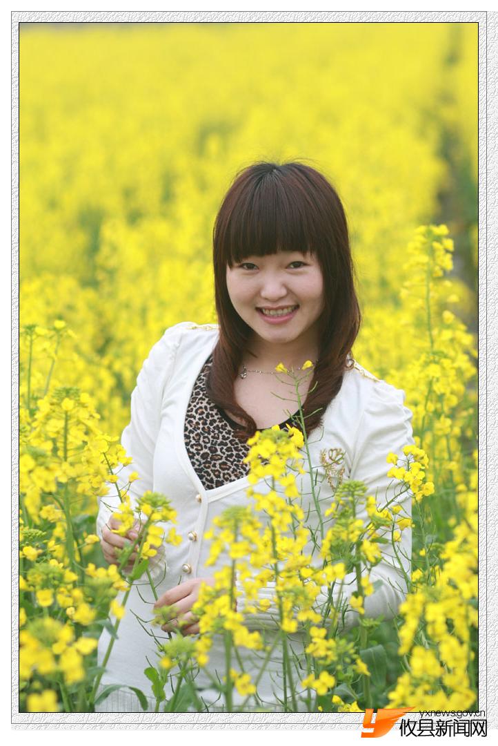 油菜花的视界