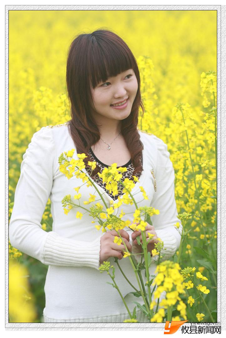 油菜花的视界