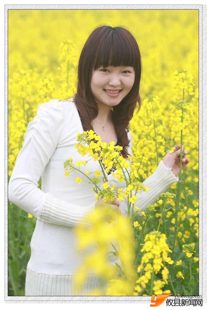 油菜花的视界