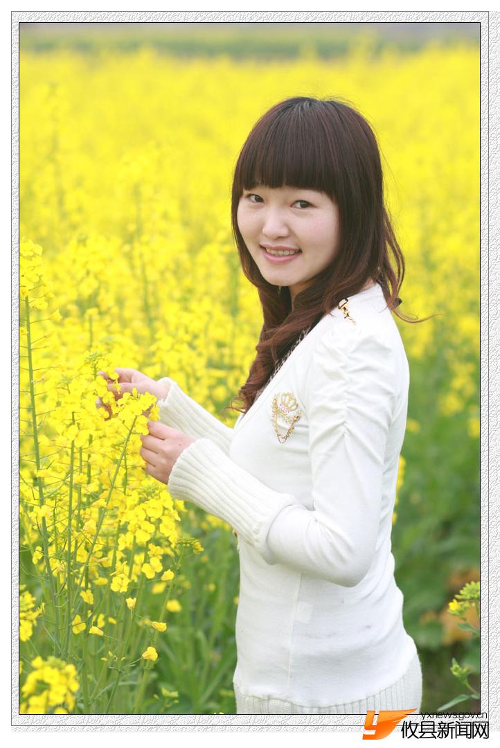 油菜花的视界