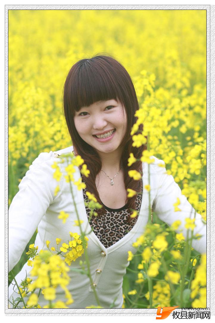 油菜花的视界