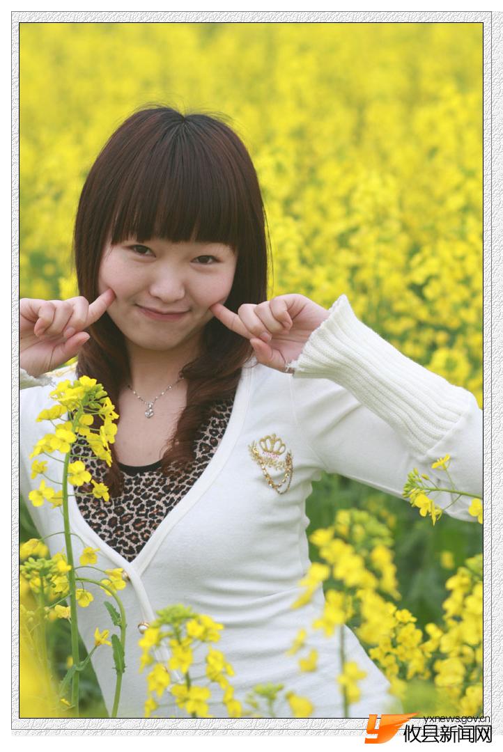 油菜花的视界