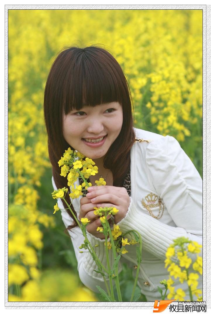 油菜花的视界