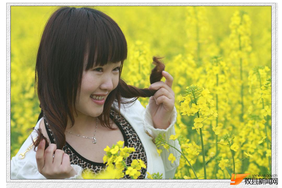 油菜花的视界