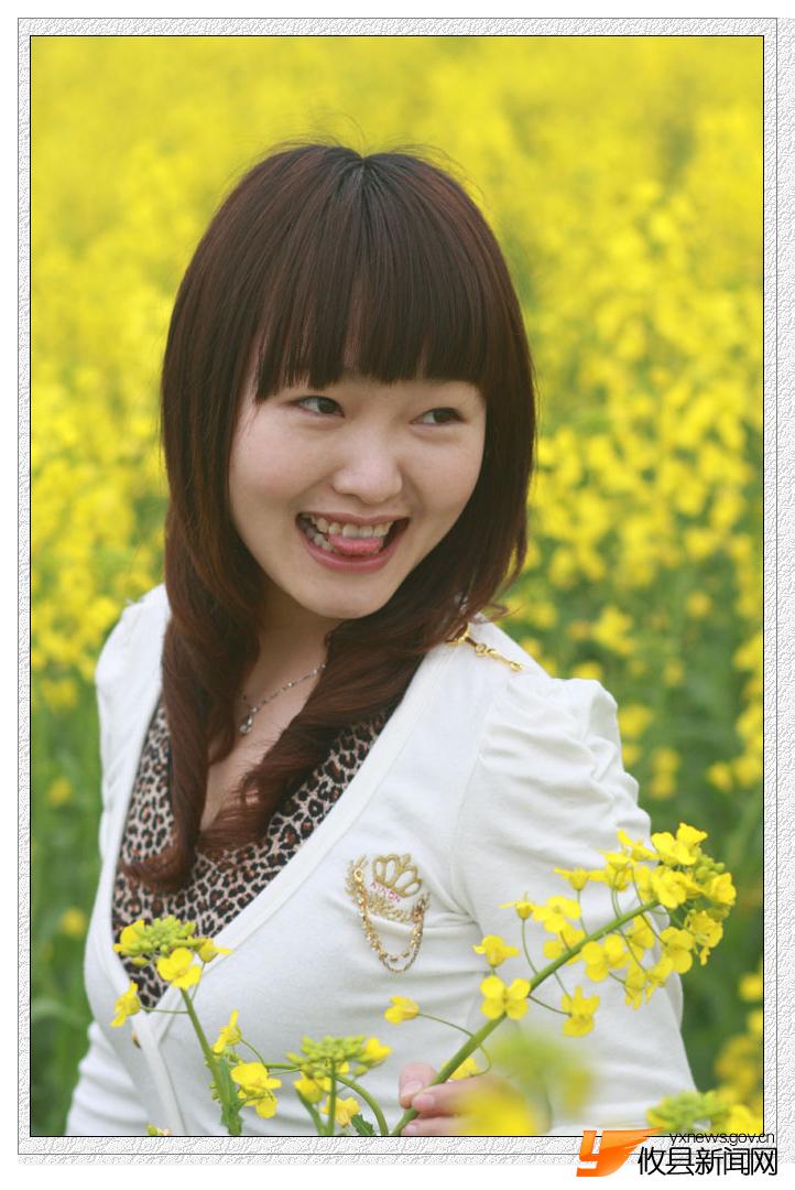 油菜花的视界