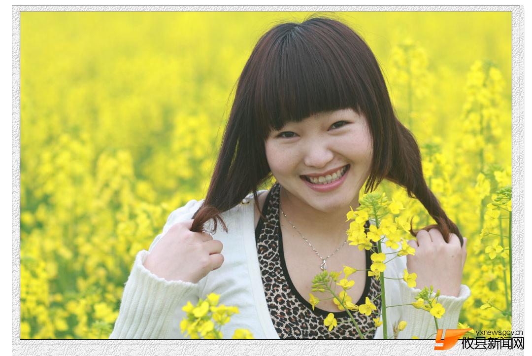 油菜花的视界