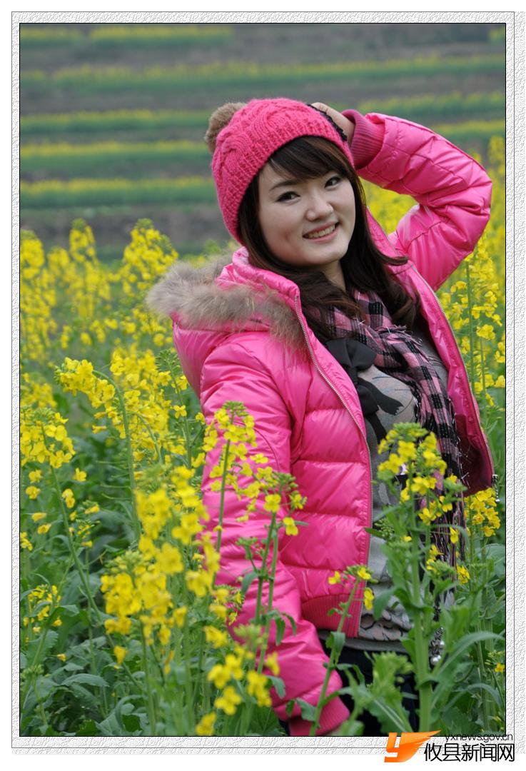 油菜花的视界