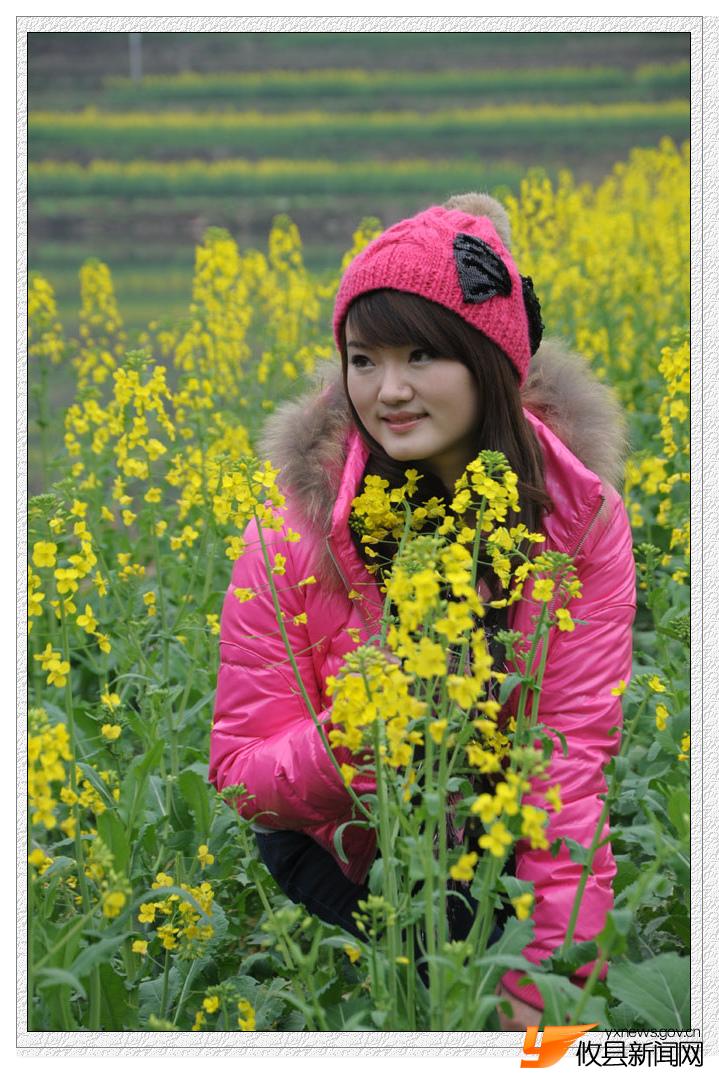 油菜花的视界
