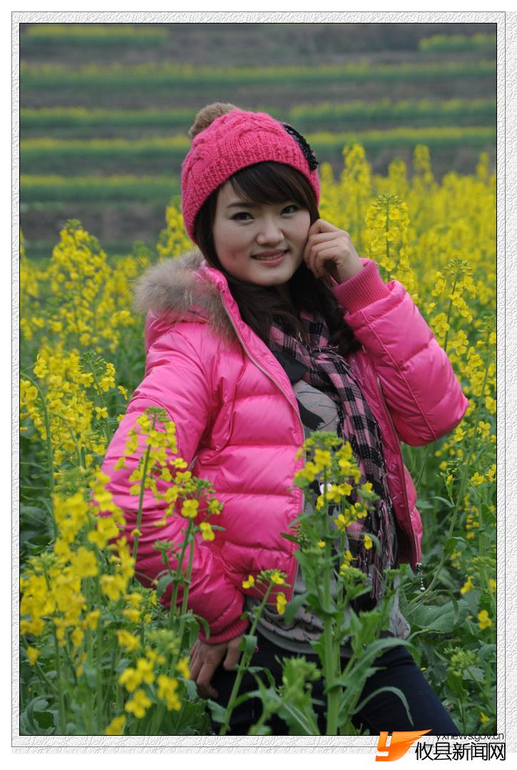 油菜花的视界