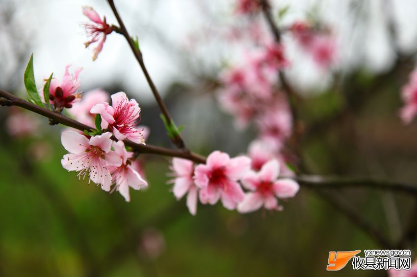 镜头里的他、她