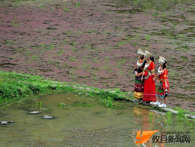 贵州台江姊妹节--“东方情人节”采风拾零
