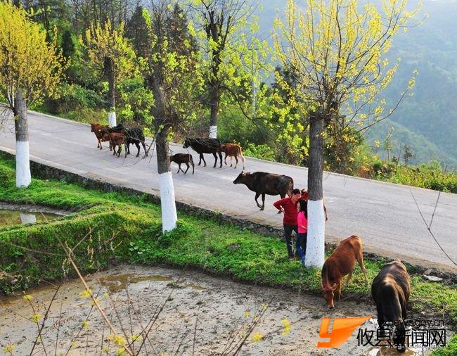 贵州台江姊妹节--“东方情人节”采风拾零