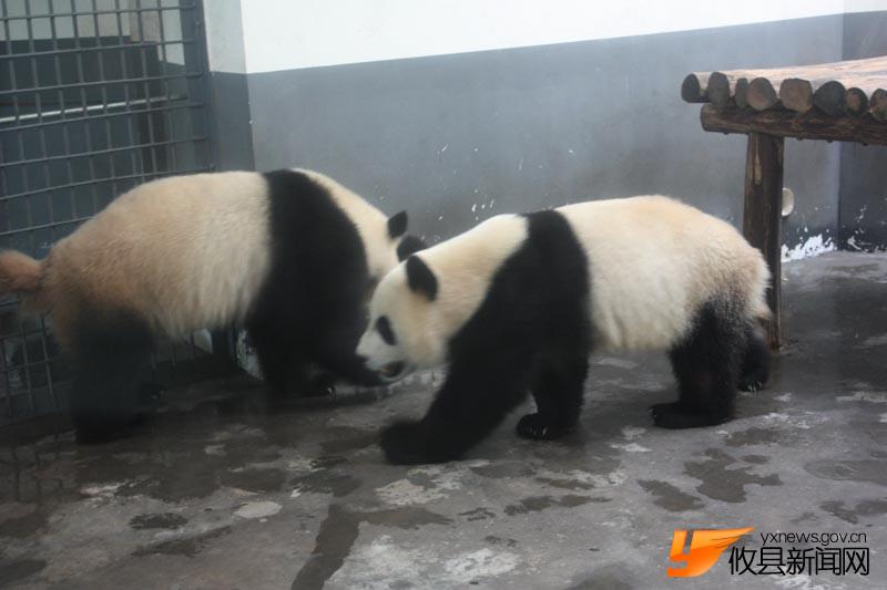 长沙动物园拍拍