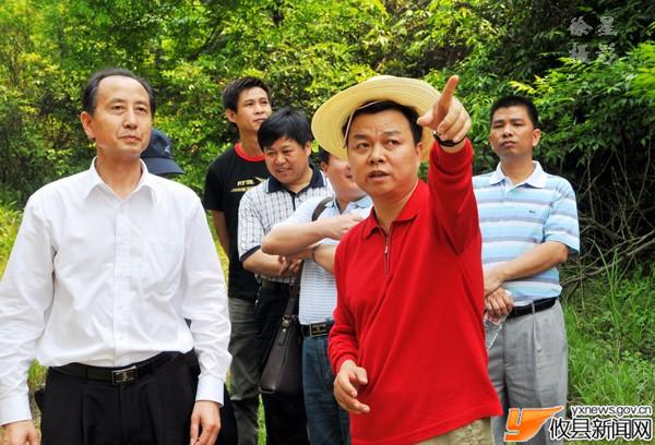 今日攸县画册收集图片选登
