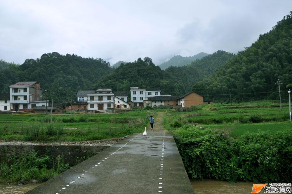 阳升观山区景色