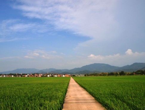 农村新景象