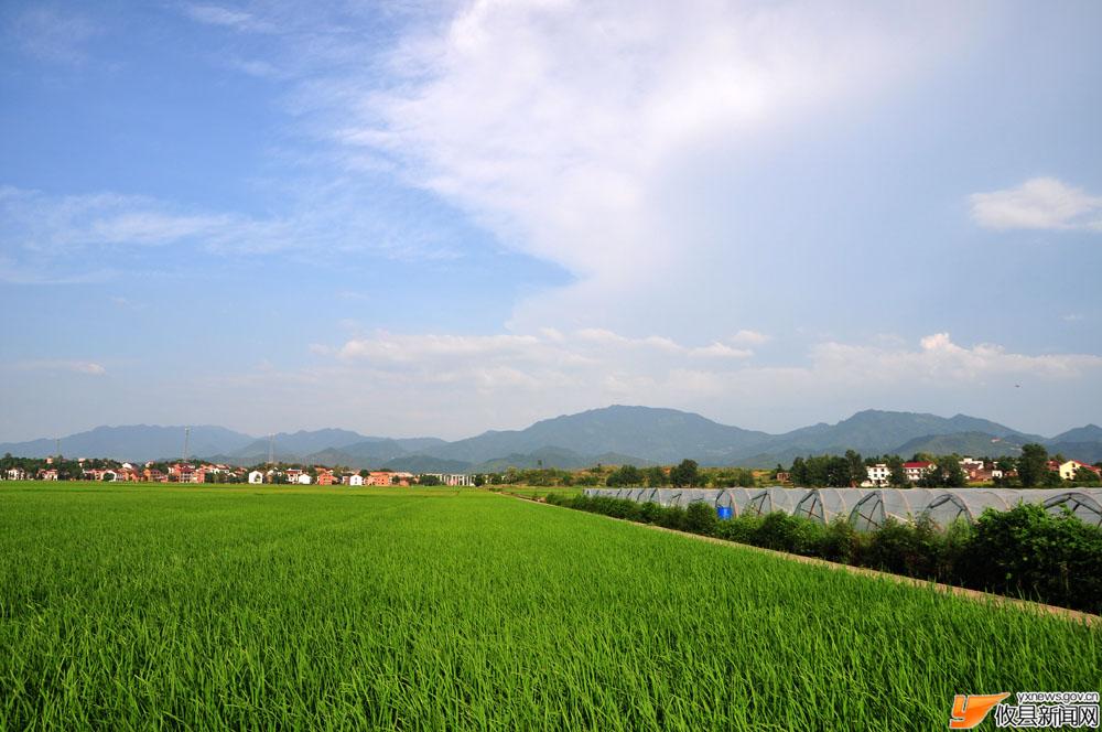 农村新景象