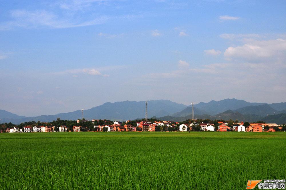 农村新景象