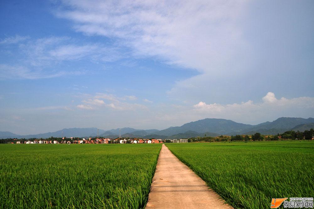农村新景象