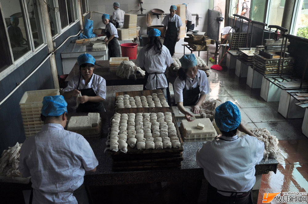 丁湖摄影：豆腐现代化生产过程