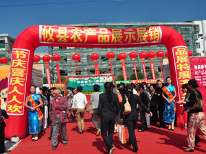 丁湖摄影：攸县农愽会