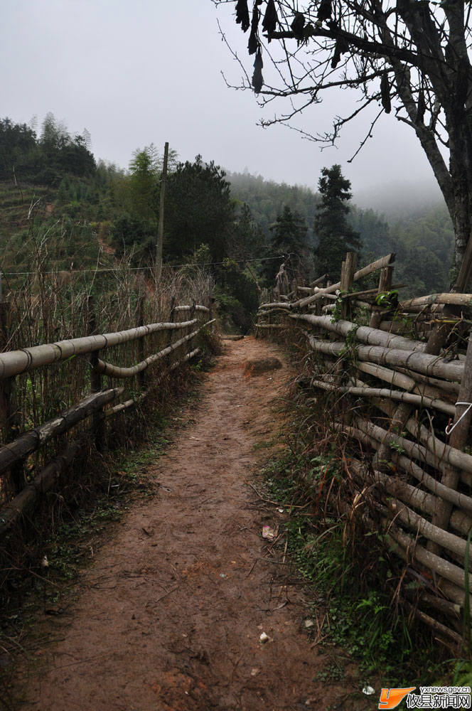 丁湖摄影：炎陵行(山区风景篇)