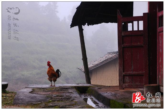 【谭德乐摄影】大山深处的婚嫁
