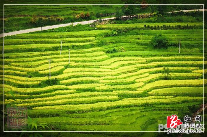 【李秋江摄影】武功山秋色