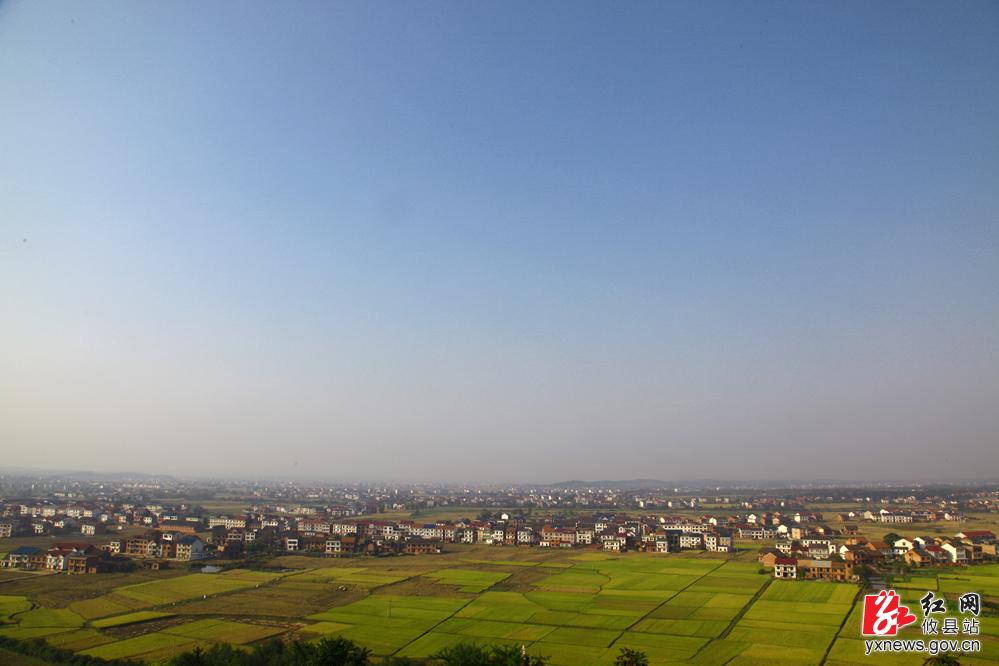 【周新华摄影】沙陵陂：怀揣稻香的锦绣田园