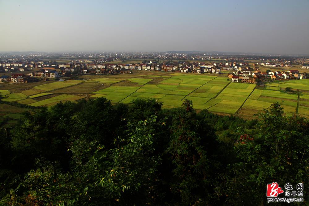 【周新华摄影】沙陵陂：怀揣稻香的锦绣田园