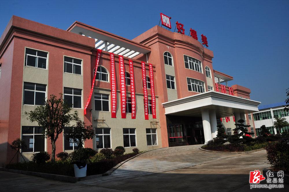 【丁湖摄影】攸县好棒美特色农产品科技开发有限公司开业典礼