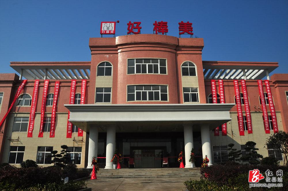 【丁湖摄影】攸县好棒美特色农产品科技开发有限公司开业典礼