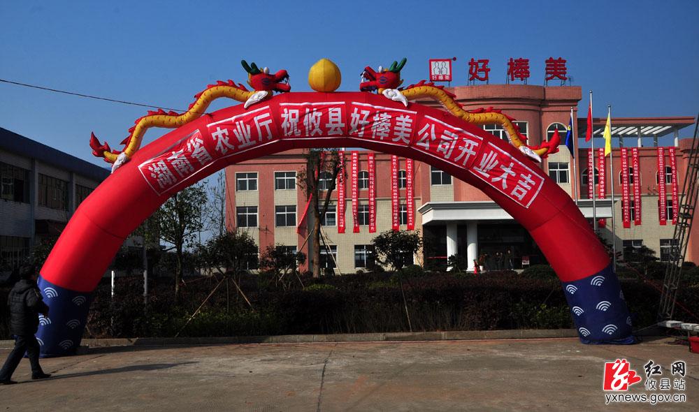 【丁湖摄影】攸县好棒美特色农产品科技开发有限公司开业典礼
