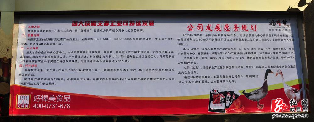 【丁湖摄影】攸县好棒美特色农产品科技开发有限公司开业典礼