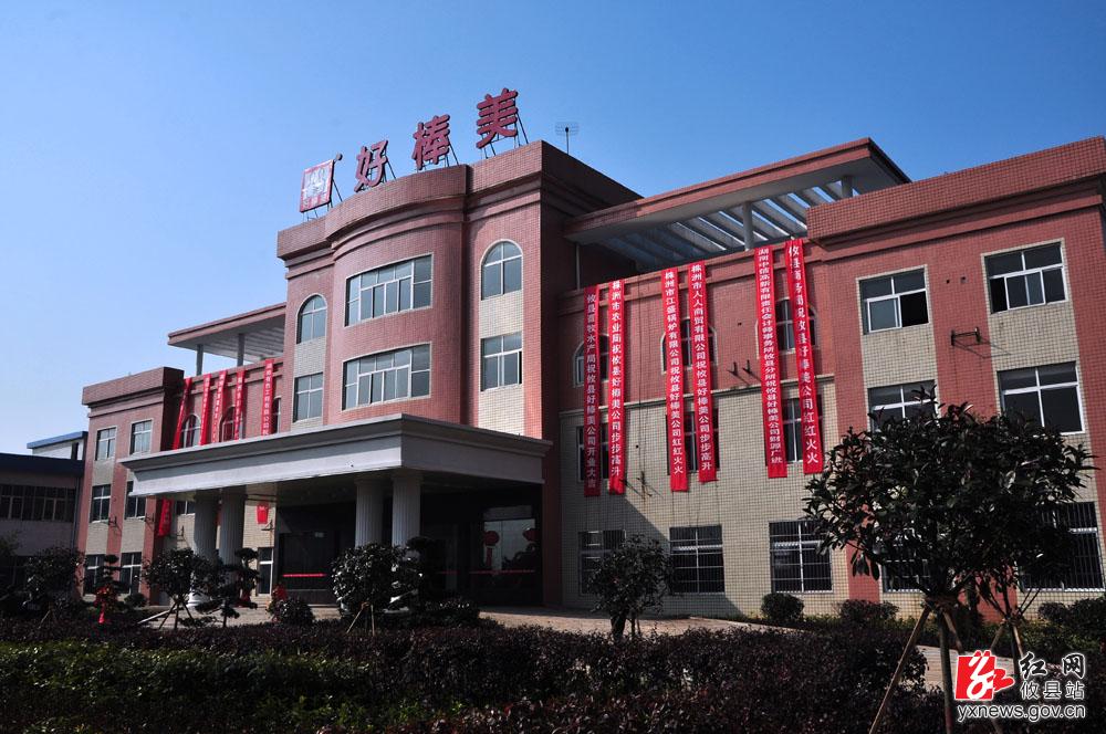 【丁湖摄影】攸县好棒美特色农产品科技开发有限公司开业典礼
