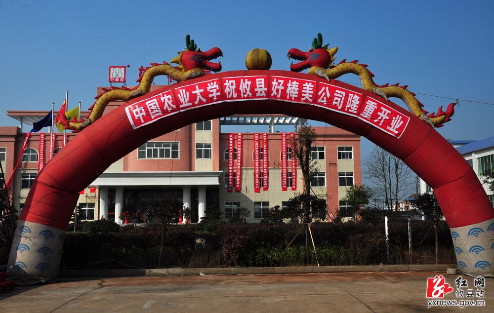 【丁湖摄影】攸县好棒美特色农产品科技开发有限公司开业典礼