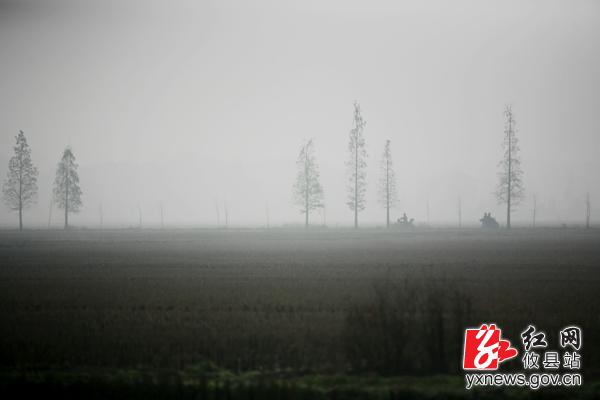 【刘浴辉摄影】水墨莲塘坳