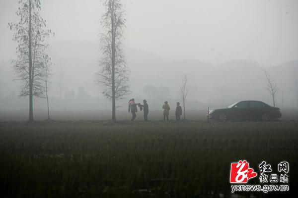 【刘浴辉摄影】水墨莲塘坳