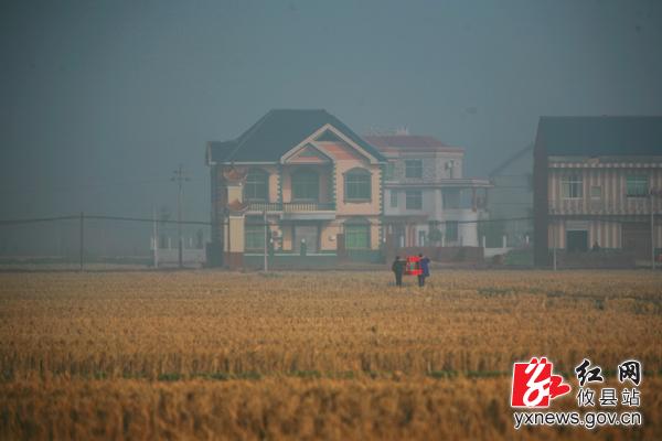【刘浴辉摄影】水墨莲塘坳